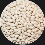 WHITE HARICOT BEANS