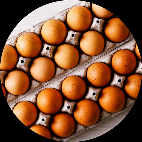 EGGS ORGANIC