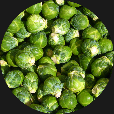 BRUSSEL SPROUTS ORGANIC
