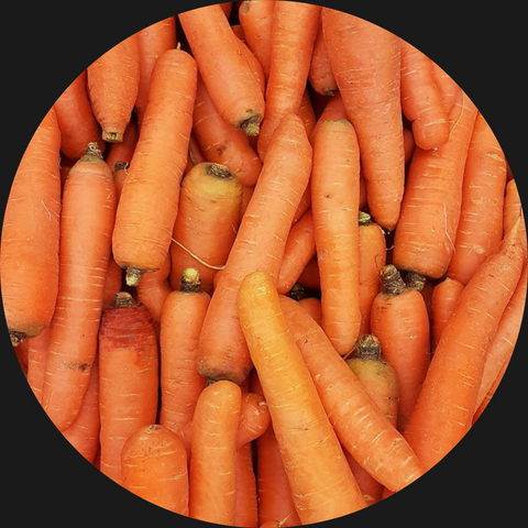 CARROTS LOOSE MEDIUM SIZE ORGANIC