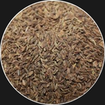 DILL SEED