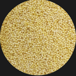 Millet Seeds Organic Australian