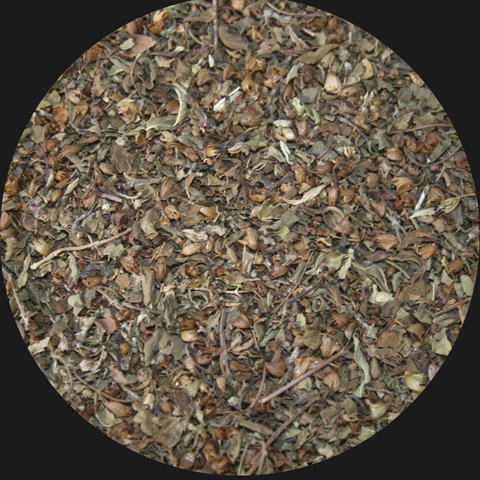 TULSI TEA ORGANIC