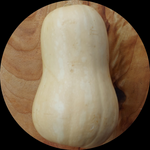 PUMPKIN BUTTERNUT ORGANIC