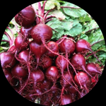 RED BEETROOT ORGANIC PER KILO