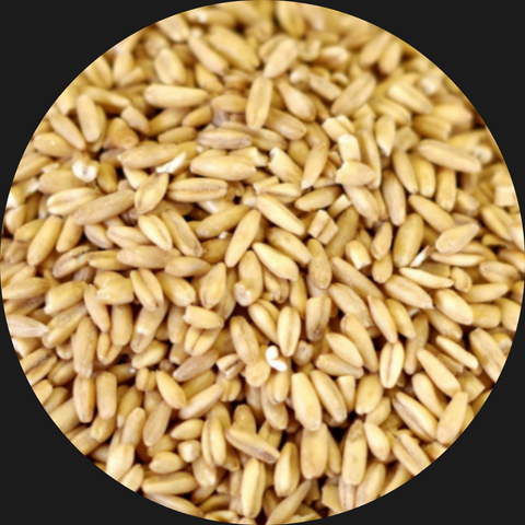 GROATS OAT KERNALS ORGANIC  AUST