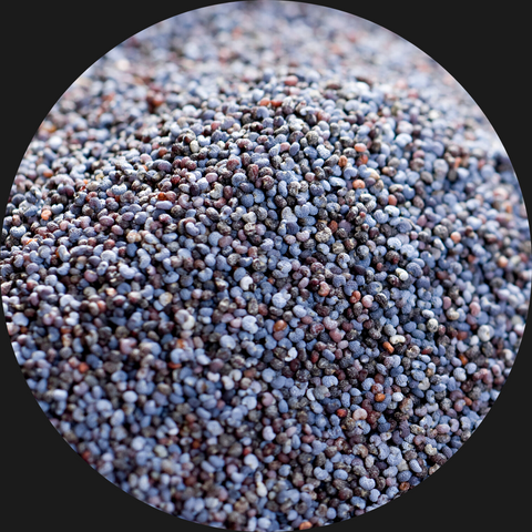 POPPY SEEDS