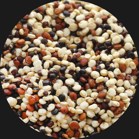 QUINOA TRICOLOUR ORGANIC