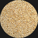 SESAME SEED ORGANIC