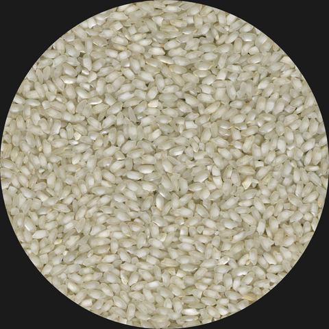 ARBORIO RICE