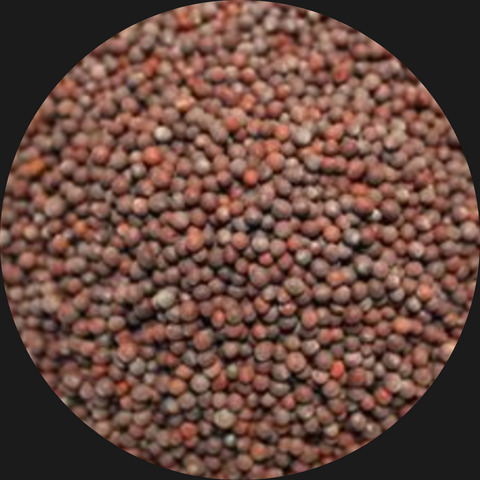 BROWN MUSTARD SEED