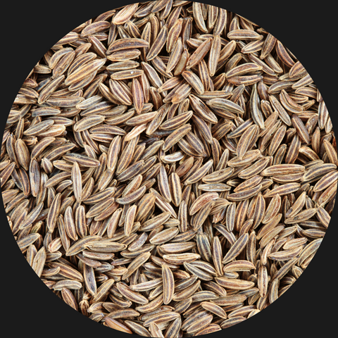 CARAWAY SEEDS