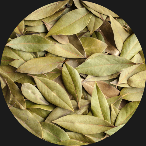 BAY LEAVES DRIED