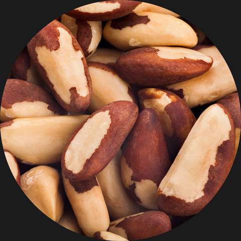 BRAZIL NUTS