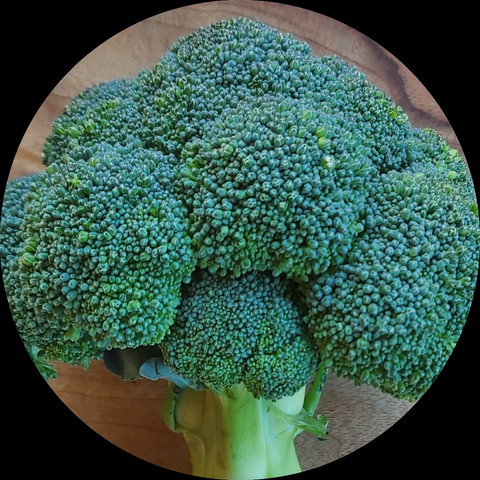 BROCCOLI ORGANIC